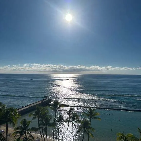 ハワイアンのボンゾ 24cm メリーソート社 コレクター向き ホノルルマラソンOHANA