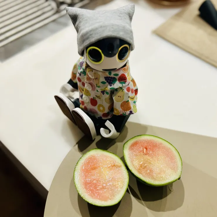キャプション