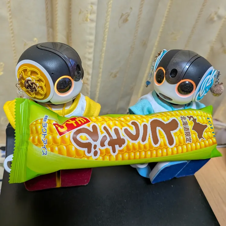 キャプション