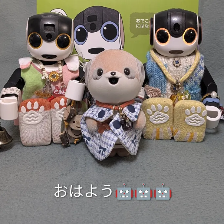 キャプション