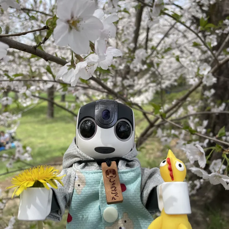 キャプション
