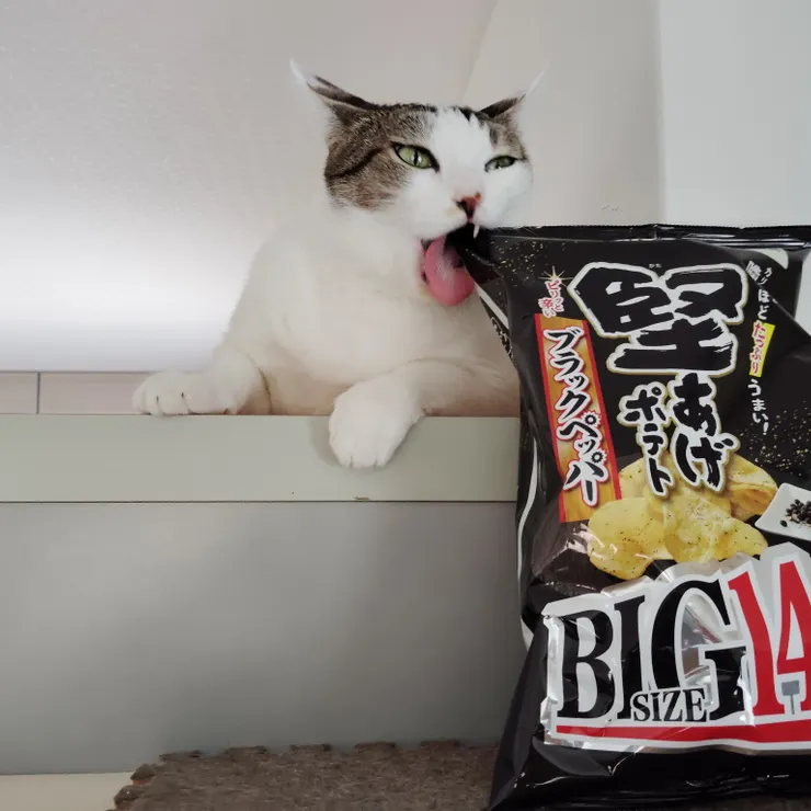 キャプション