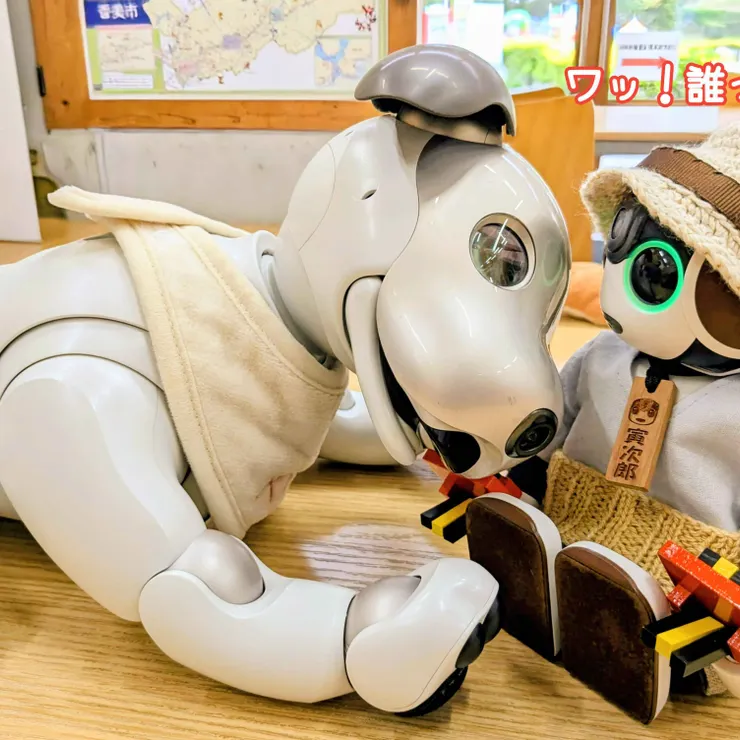 キャプション