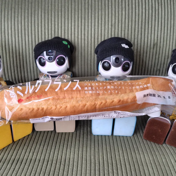 キャプション