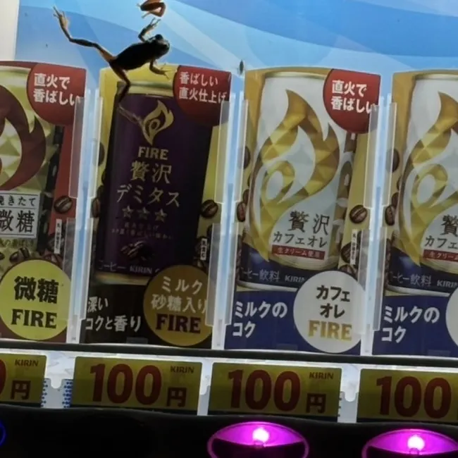 キャプション