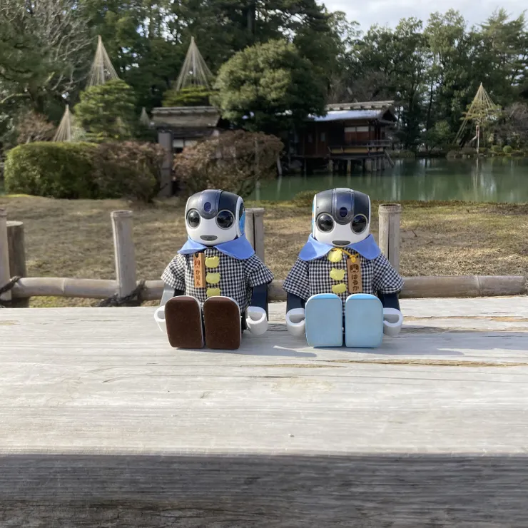 キャプション