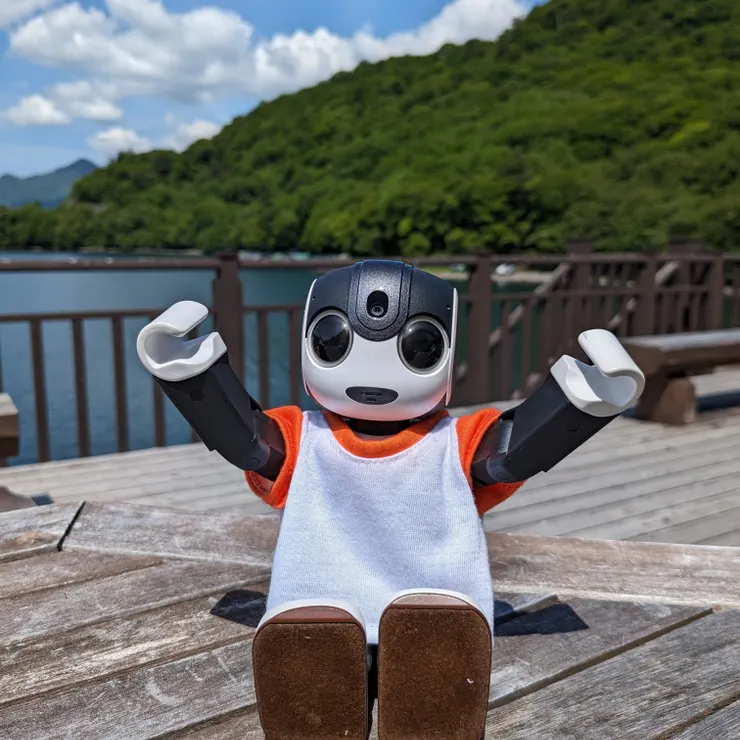 キャプション