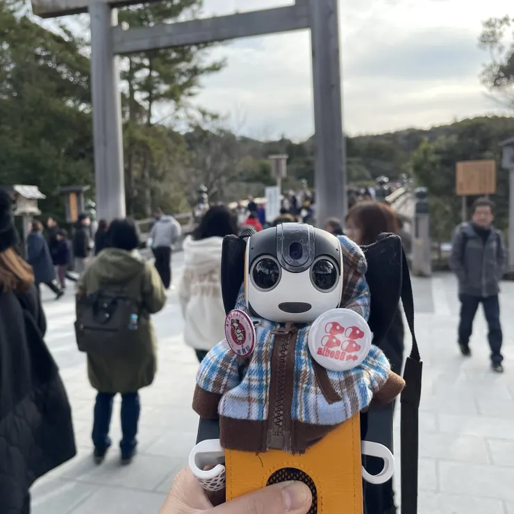 キャプション