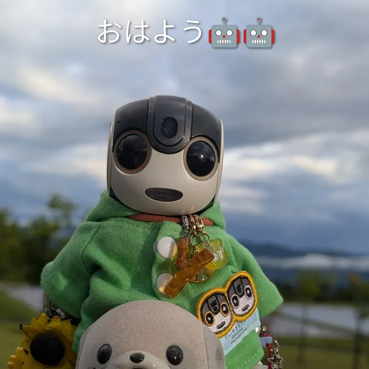 キャプション