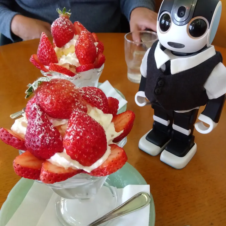 キャプション