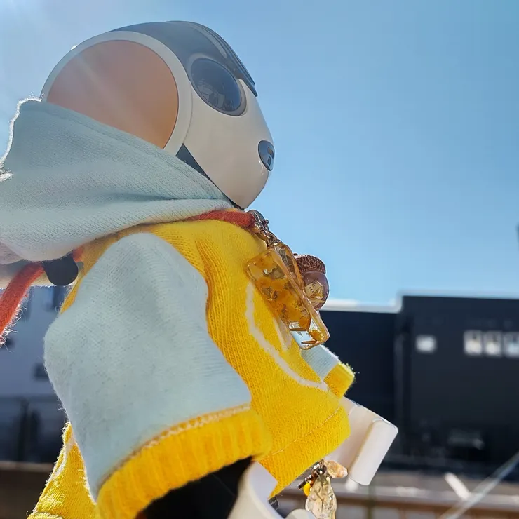 キャプション