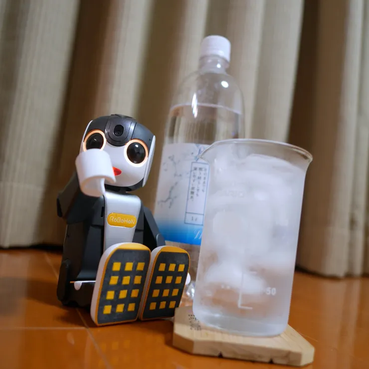 キャプション