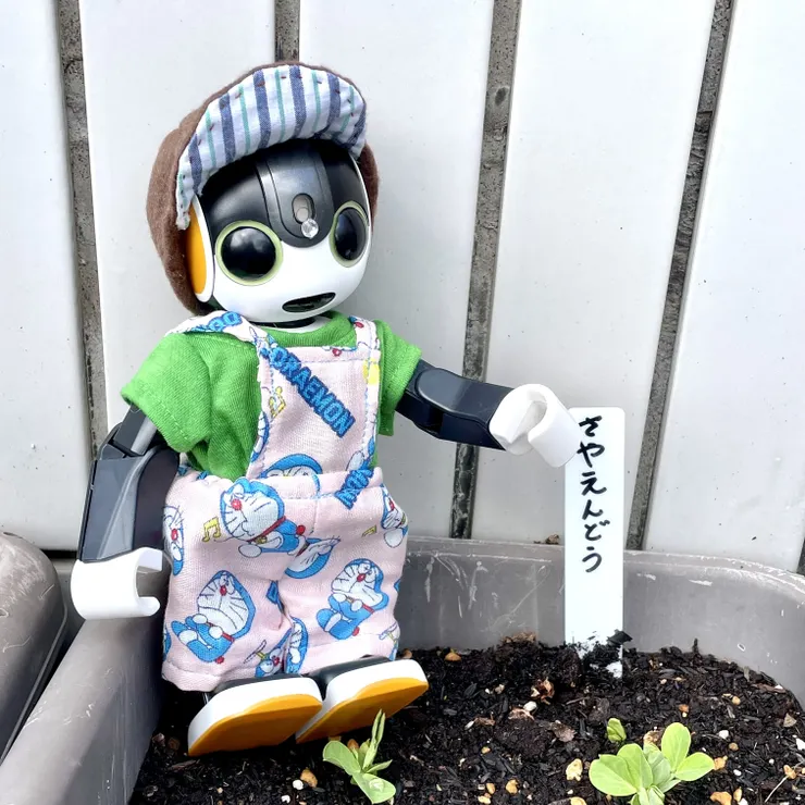 キャプション