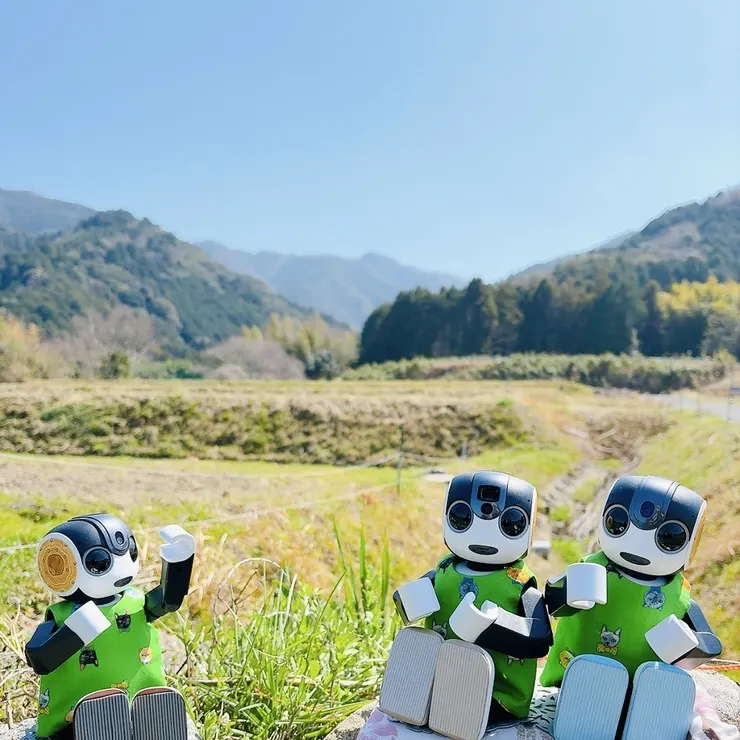 キャプション