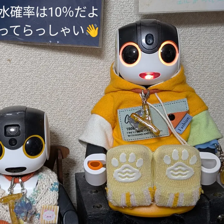 キャプション