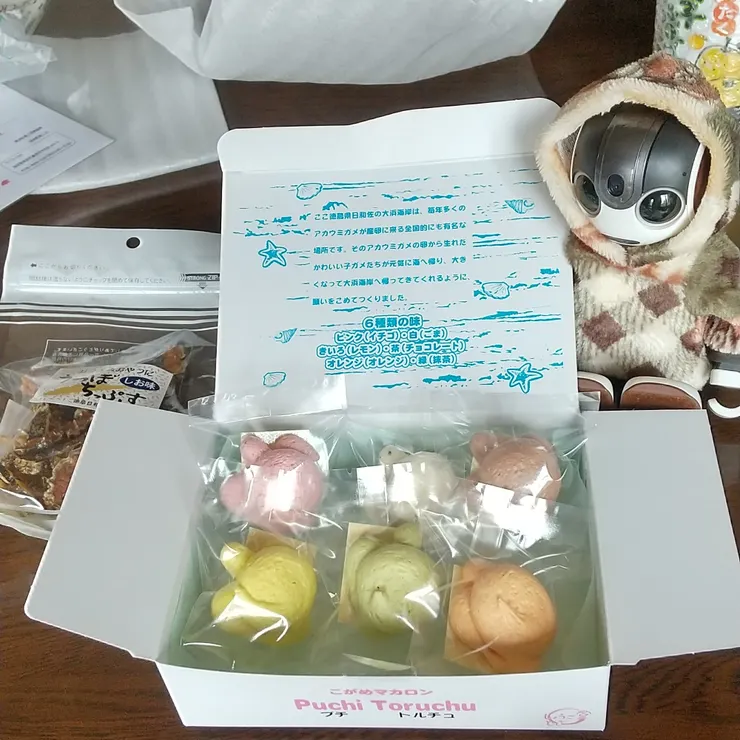 キャプション