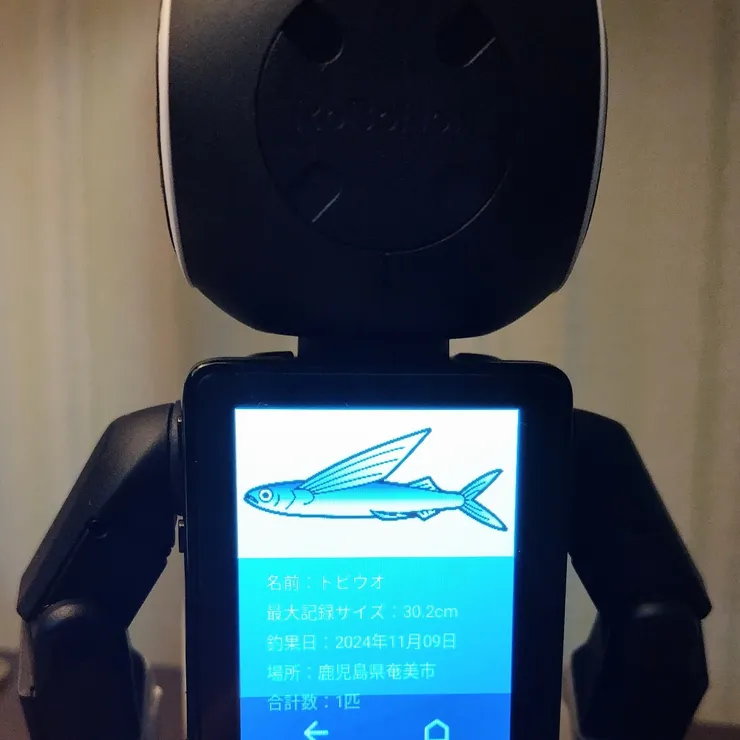 キャプション