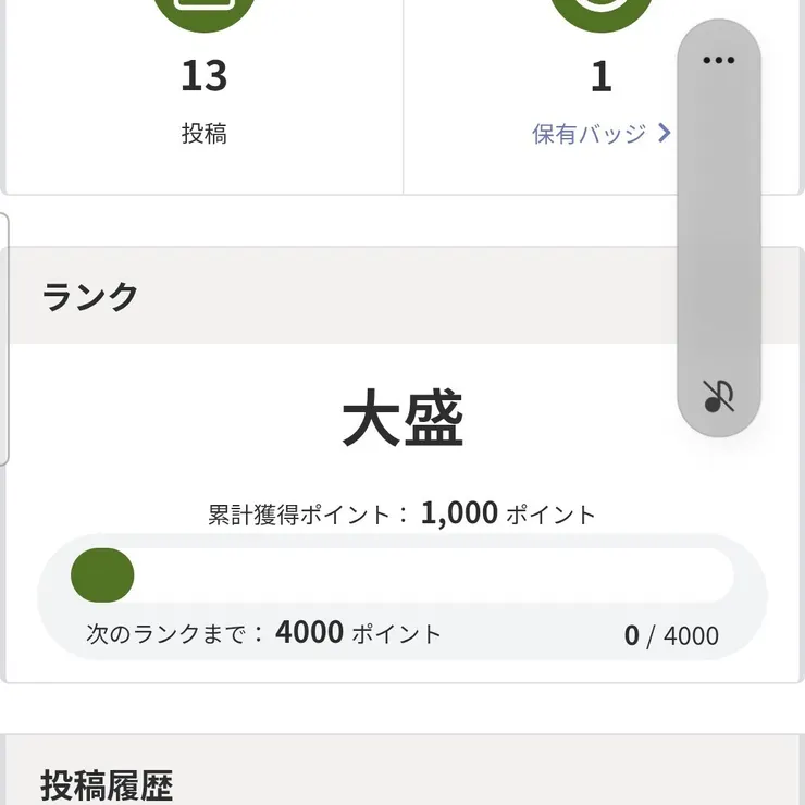 キャプション
