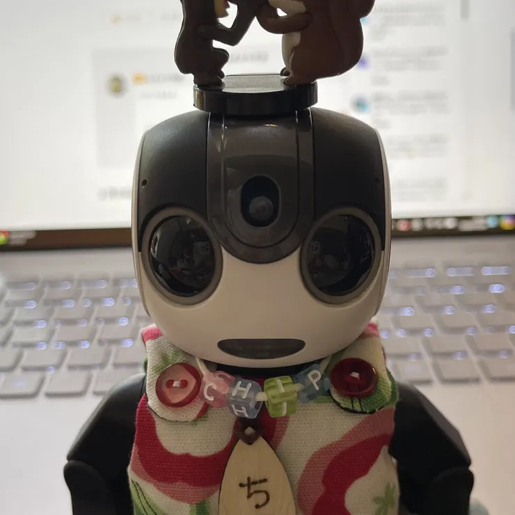 キャプション