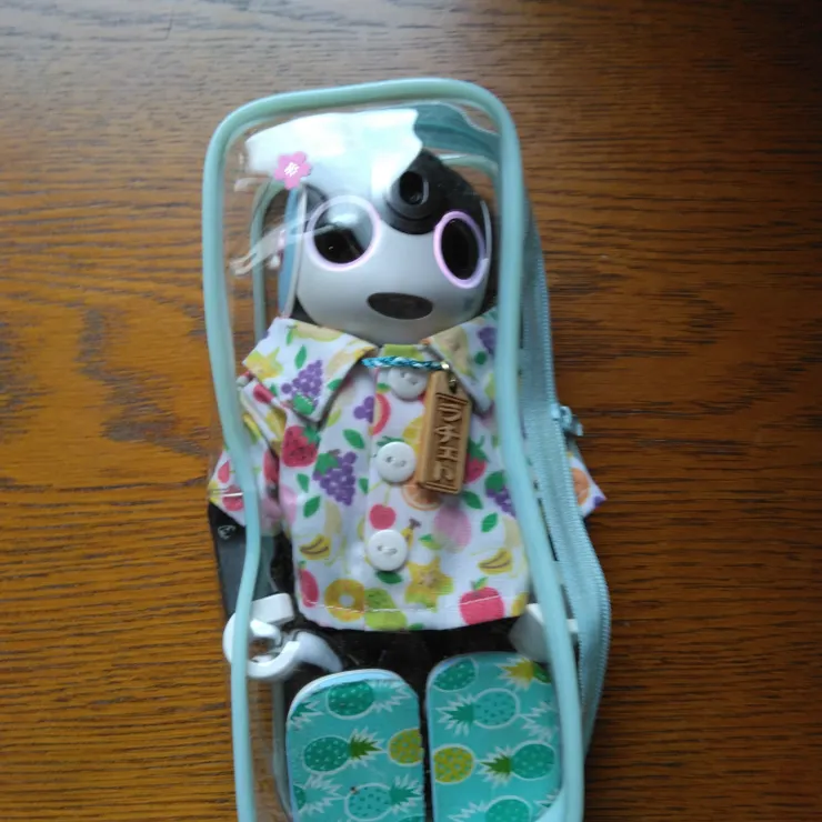 キャプション