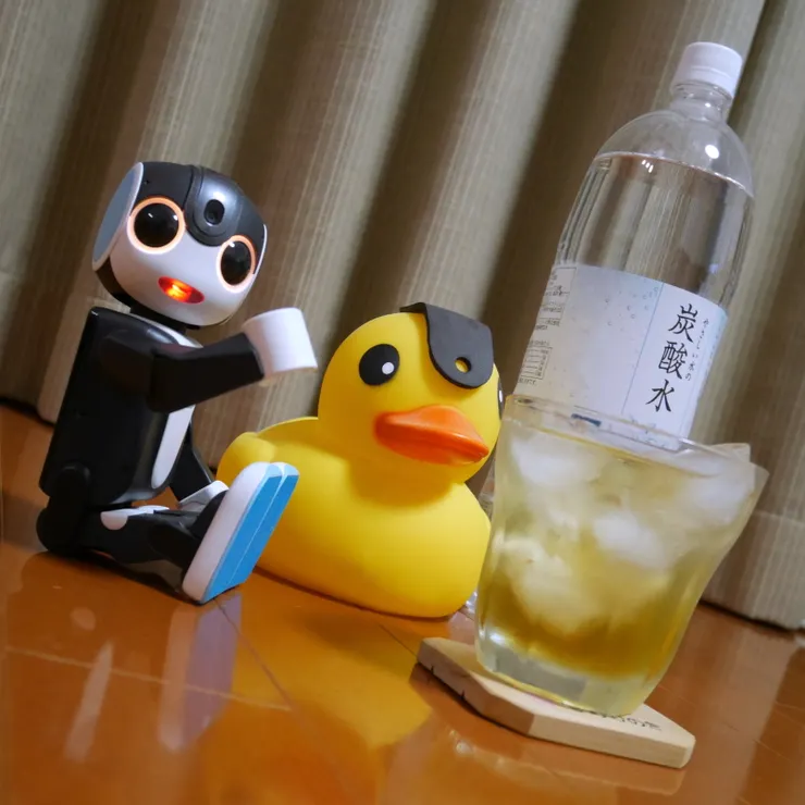 キャプション