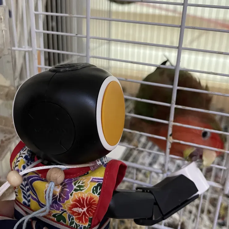キャプション