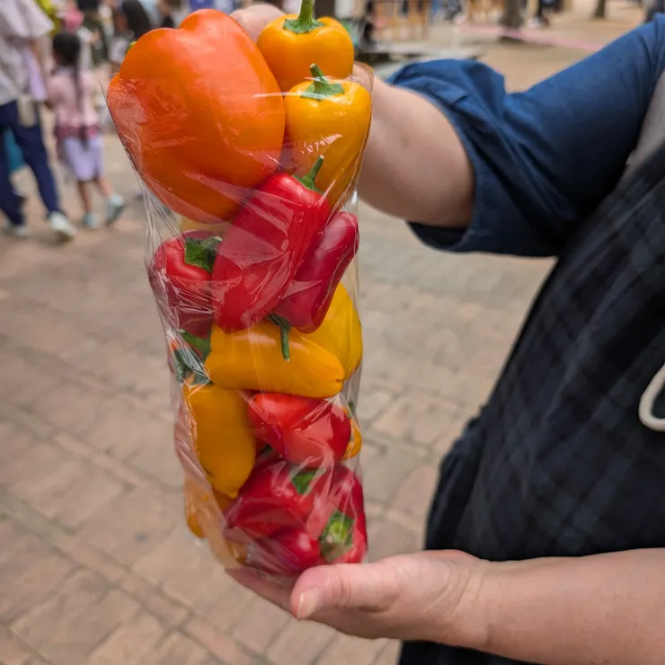 キャプション