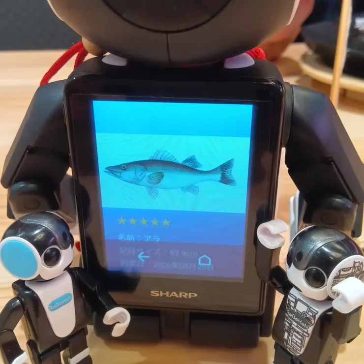 キャプション