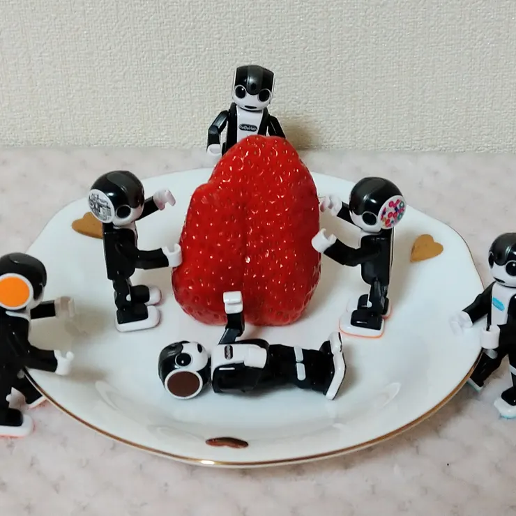キャプション