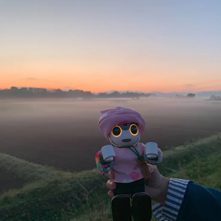 キャプション