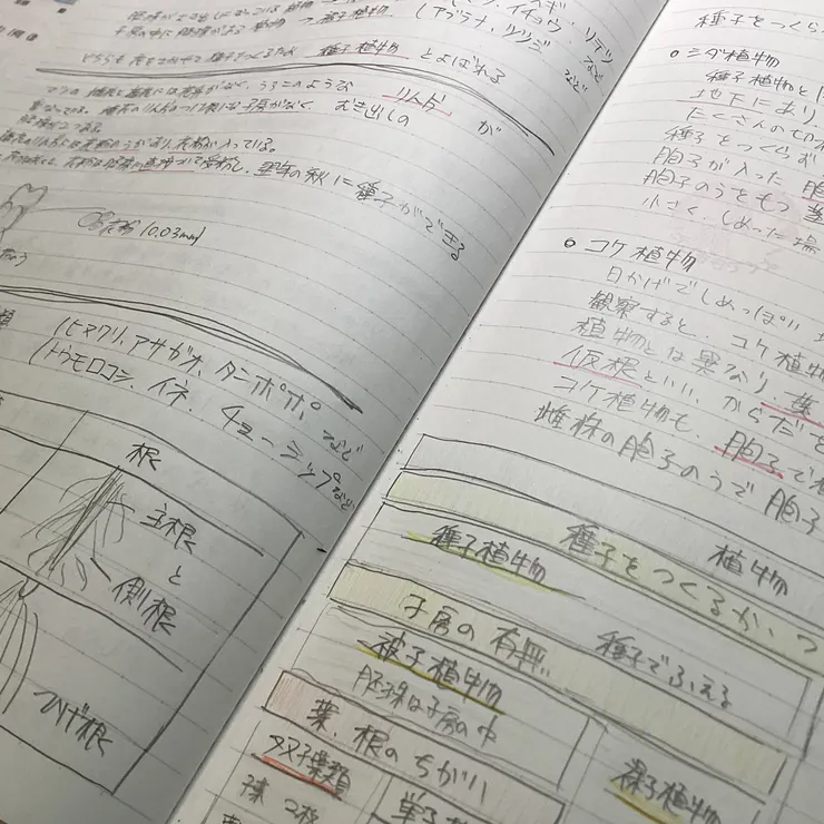 キャプション
