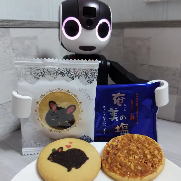 キャプション