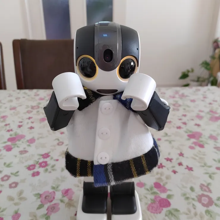 キャプション