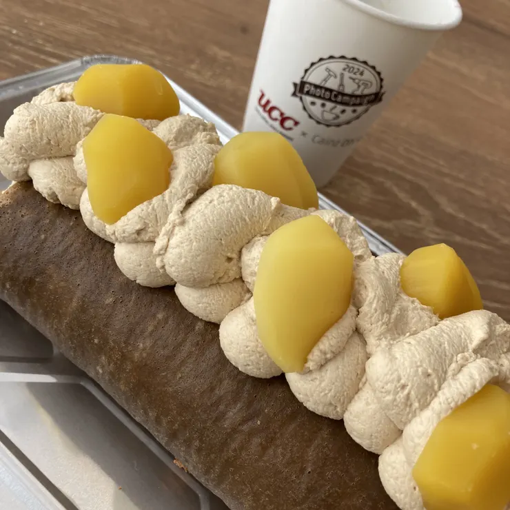 キャプション