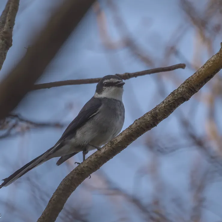 メンバーズ・フォト | PHOTO HUB by nikkor club