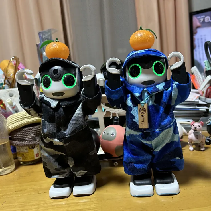 キャプション