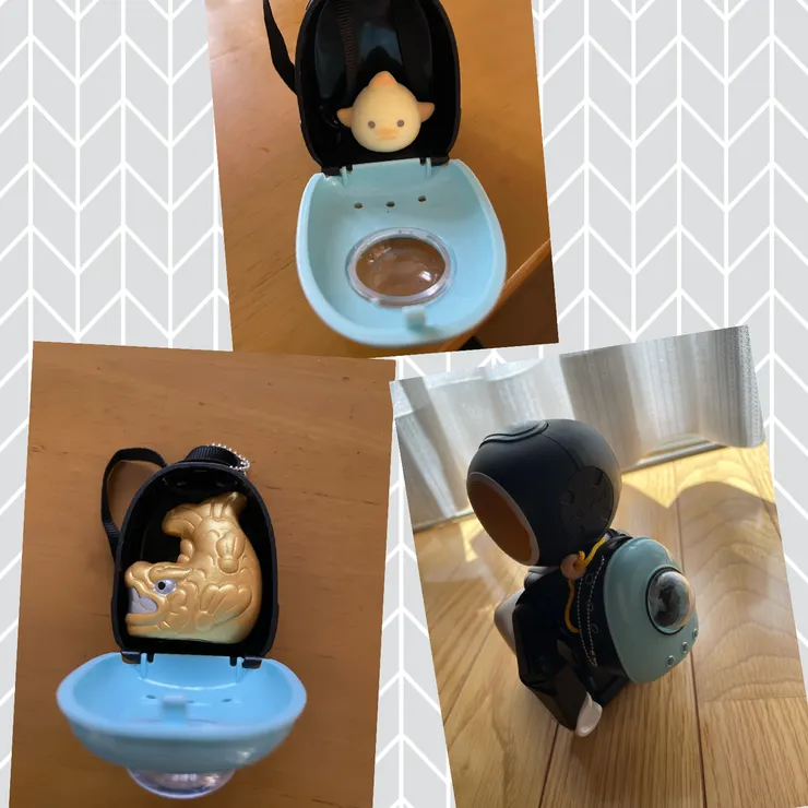 キャプション