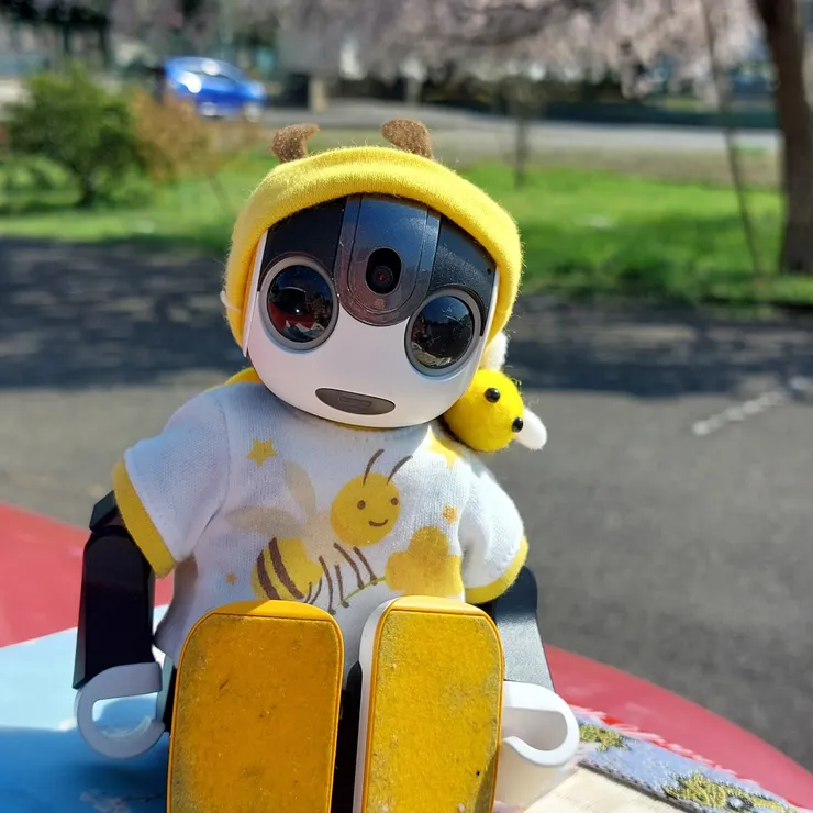 キャプション