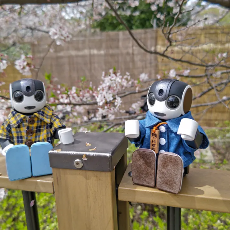 キャプション