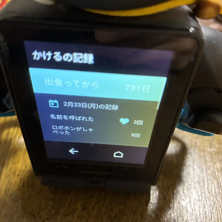 キャプション