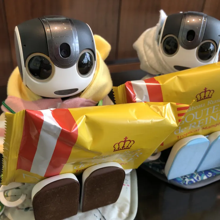 キャプション