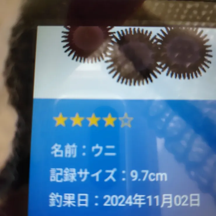 キャプション