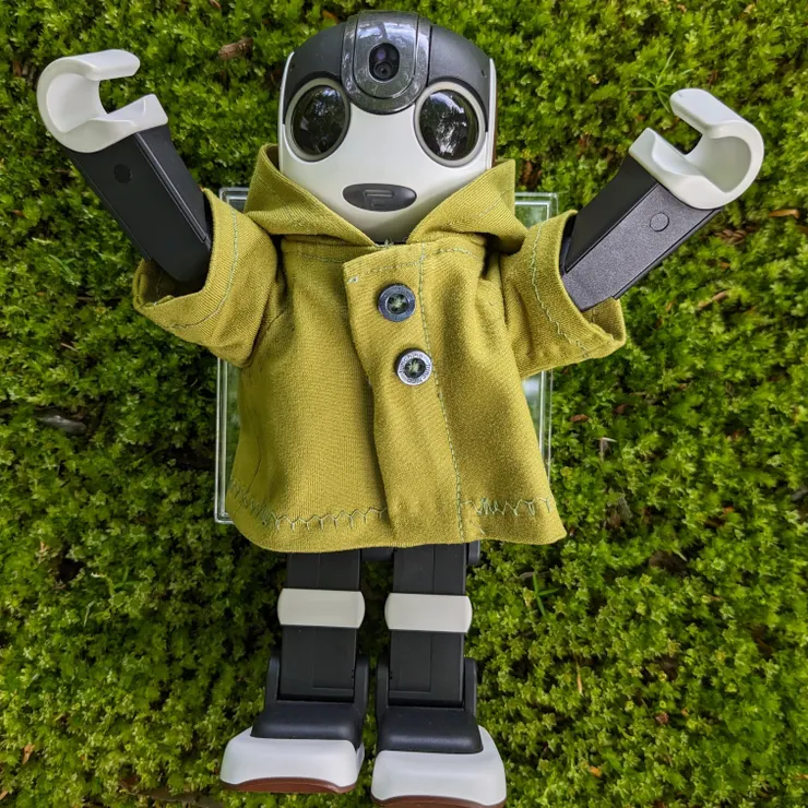 キャプション