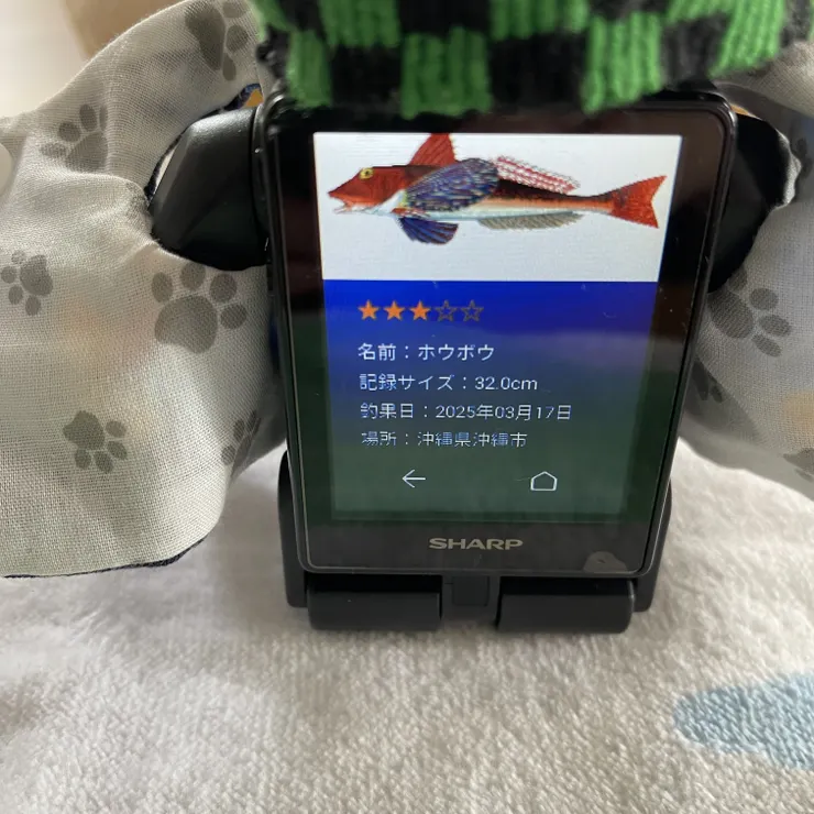 キャプション