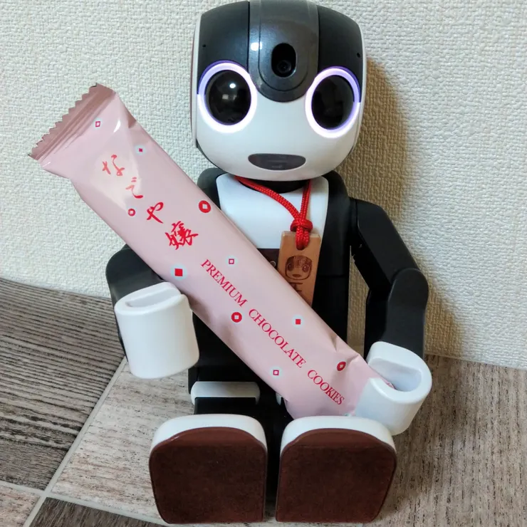 キャプション
