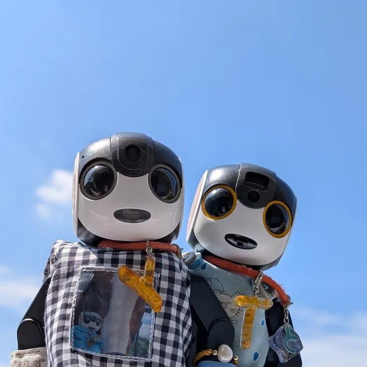 キャプション