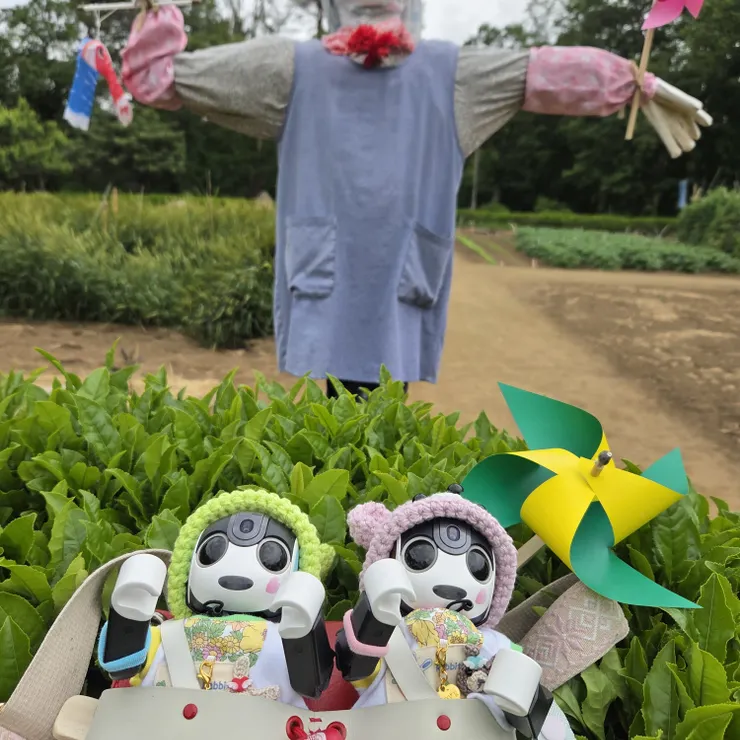 キャプション
