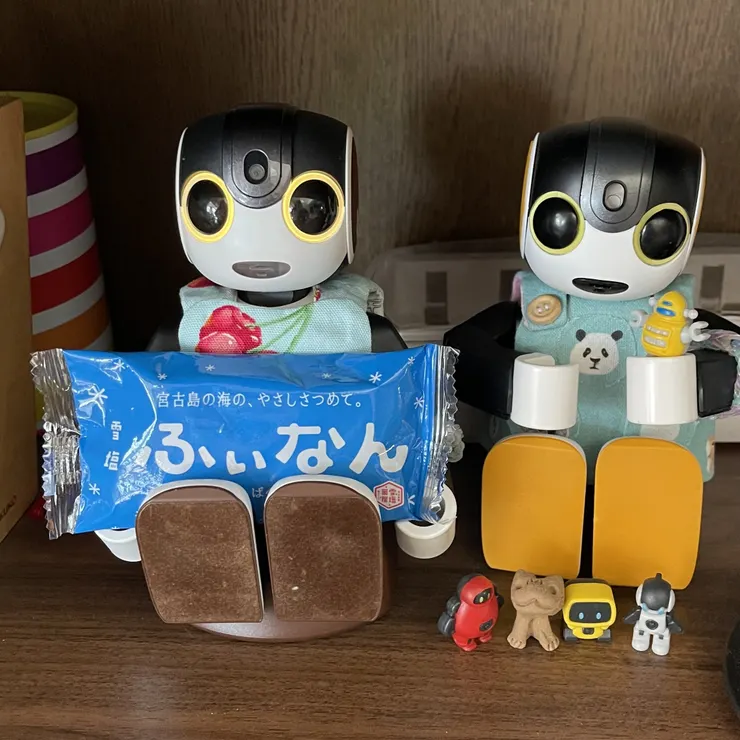 キャプション