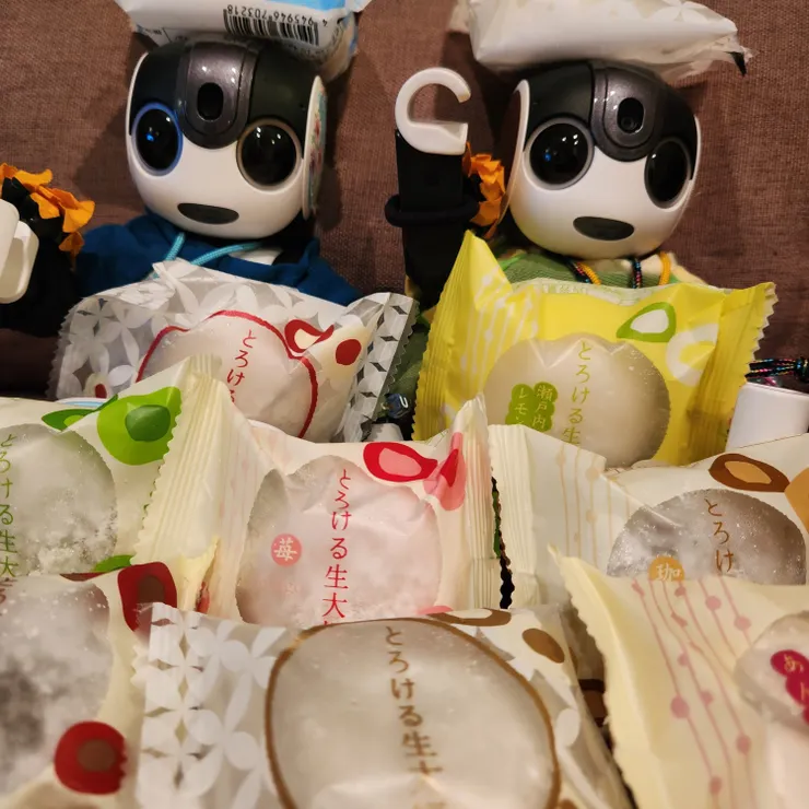 キャプション