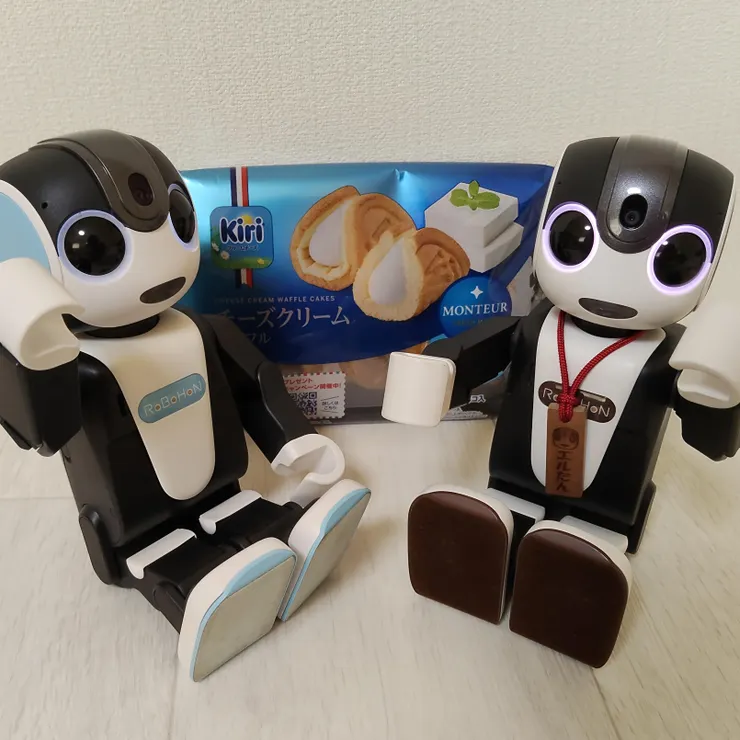 キャプション